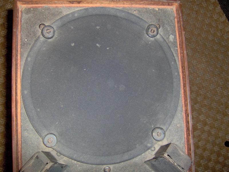 One of the woofers. It's a bit dusty, I'm going to clean them, as described on the page, first thing tomorrow.